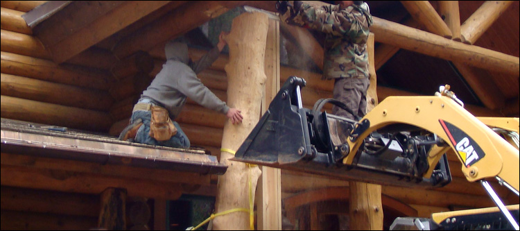 Log Home Log Replacement  Marion County, Ohio